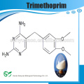 Hochreines Trimethoprim / TMP 738-70-5